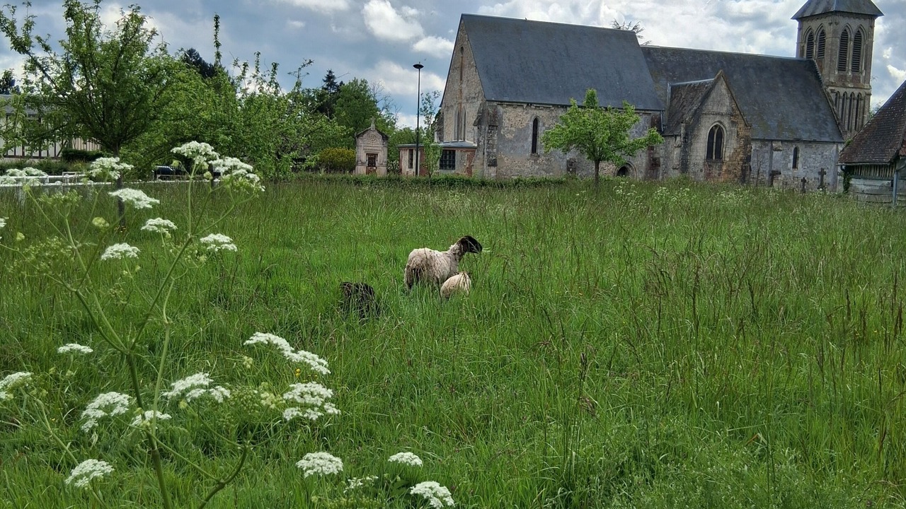 Photo of Others in Annebault
