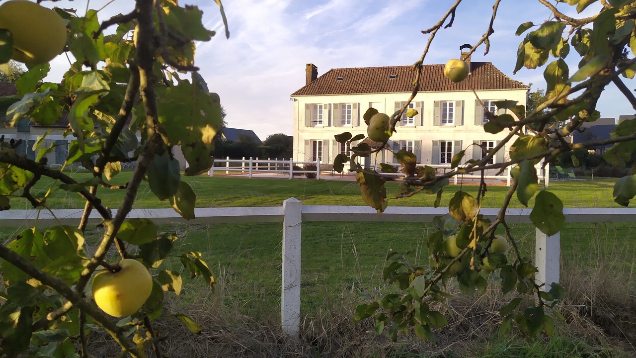 Photo of Outdoor in Annebault