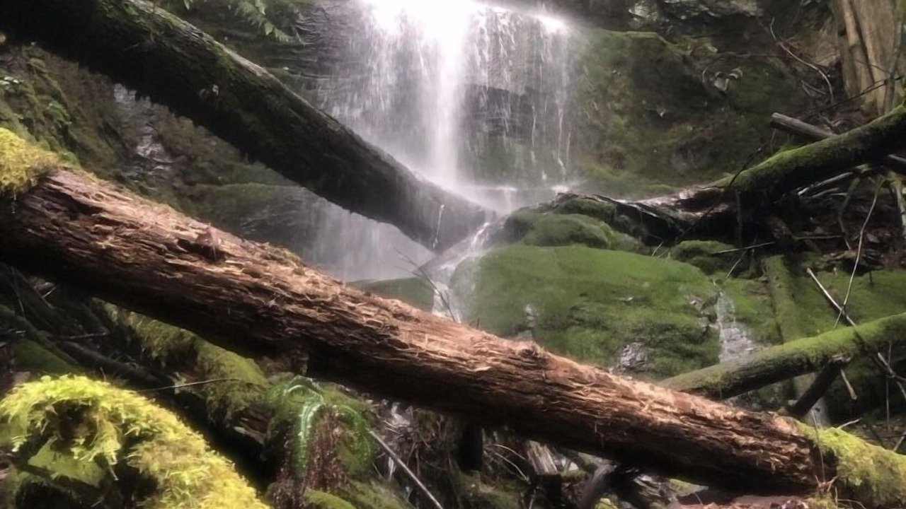 Photo of Outdoor in Geneva