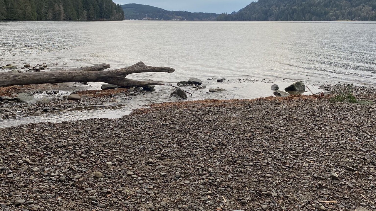 Photo of Others in Geneva