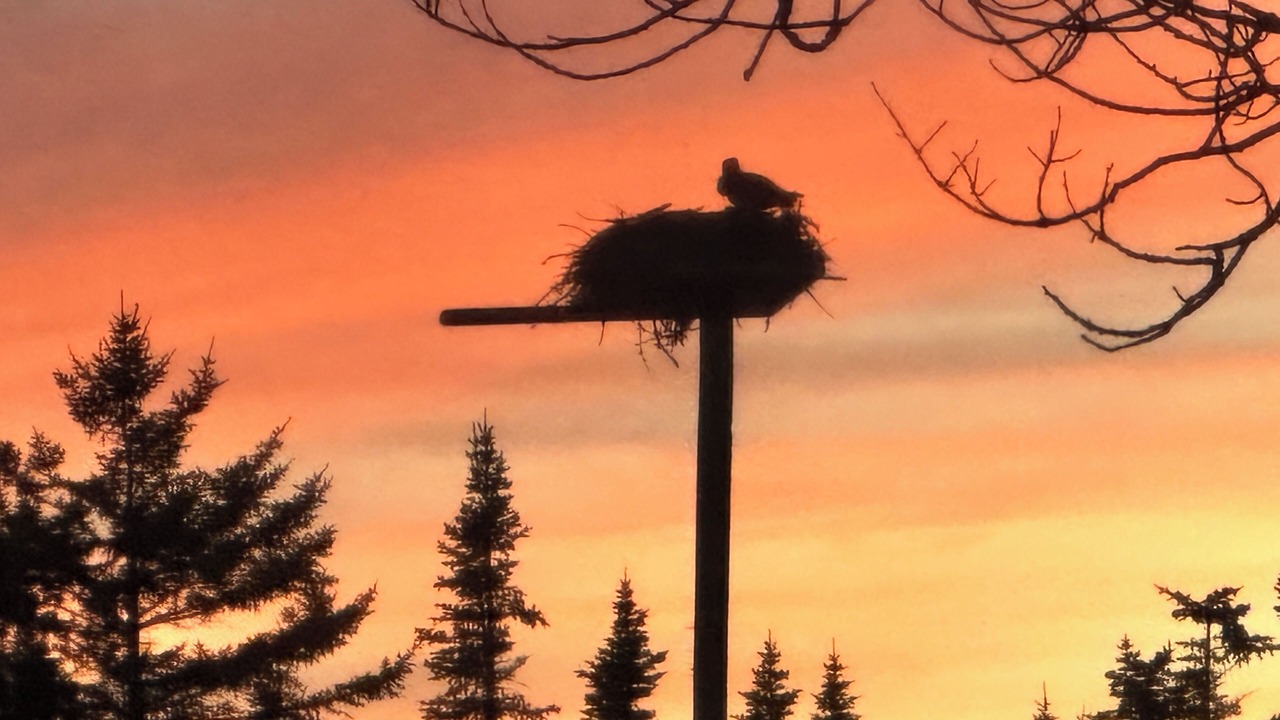 Photo of Others in Corea