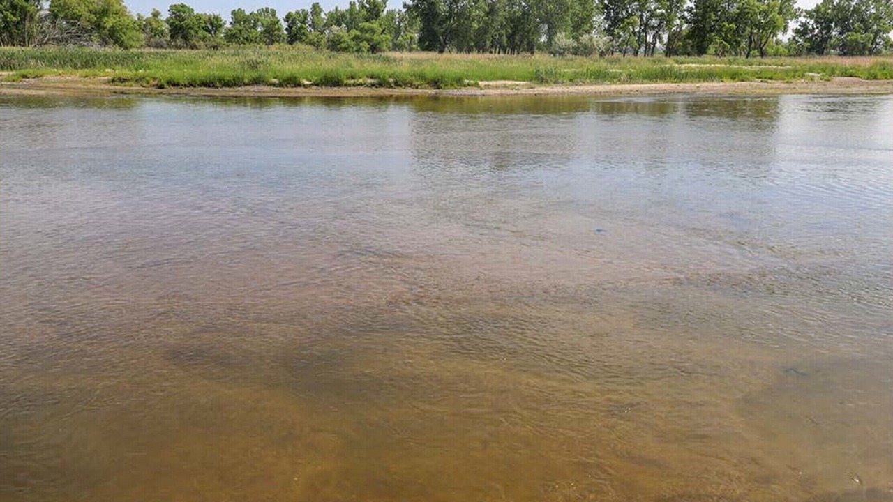 Photo of Others in Lincoln County