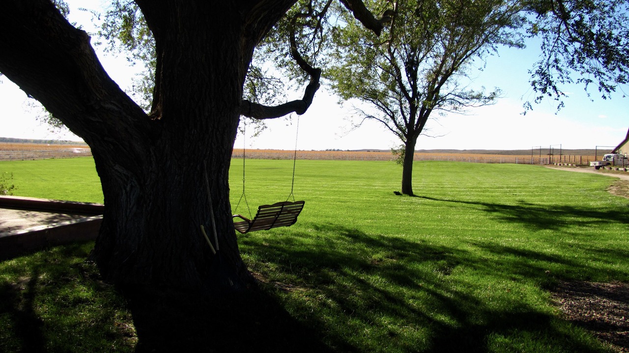 Photo of Others in Lincoln County