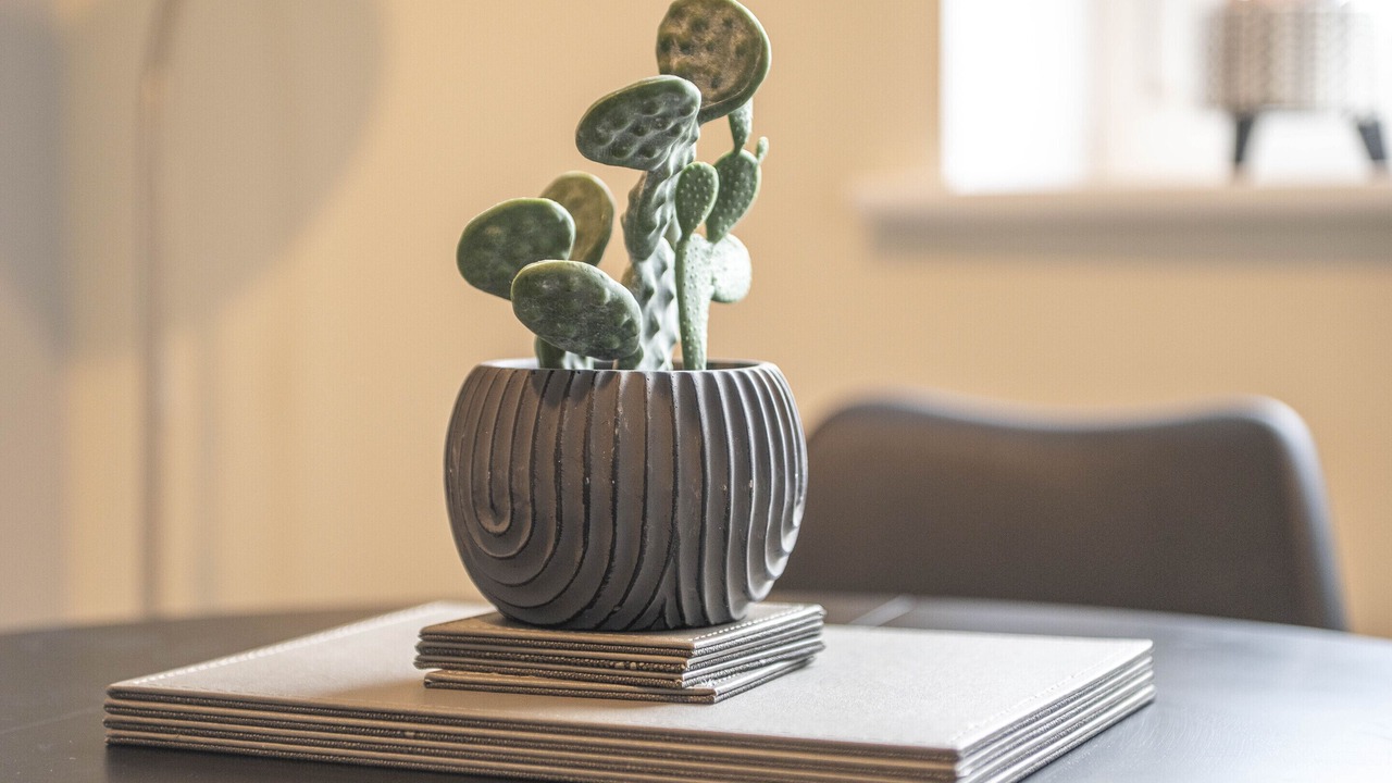 Photo of Others in Aylesbury