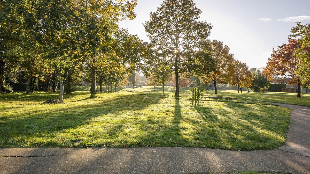Photo of Others in Aylesbury
