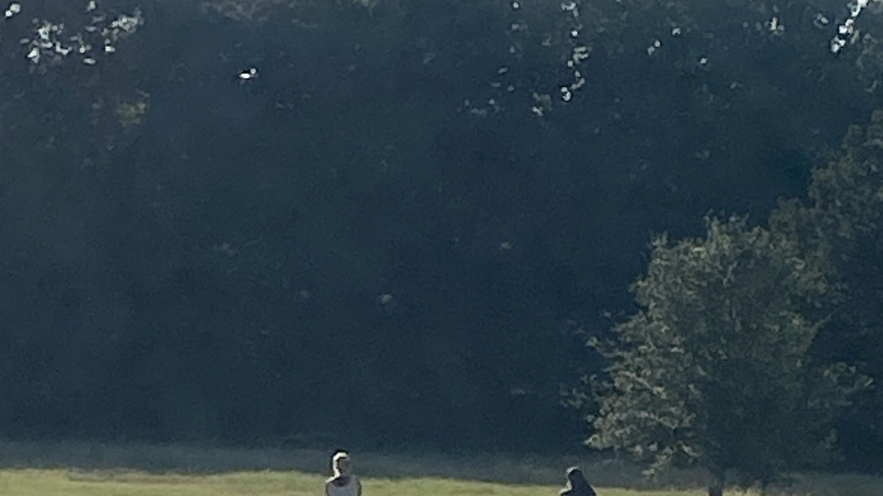 Photo of Others in Decatur