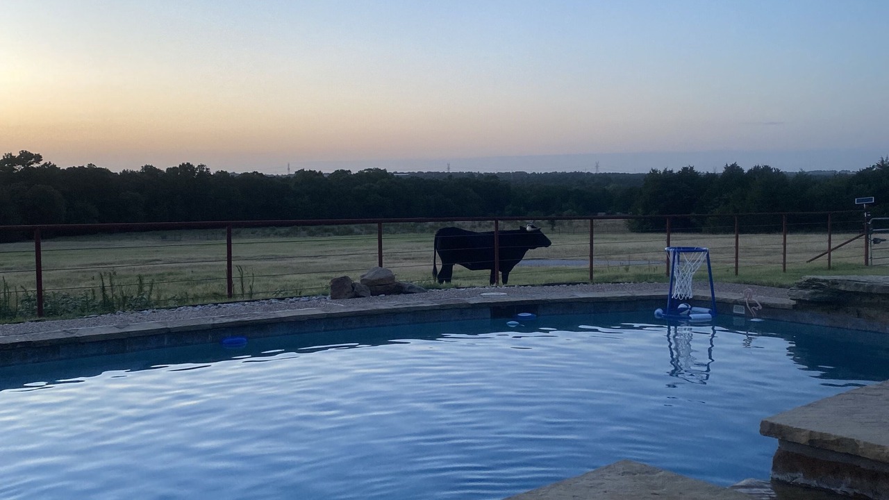 Photo of Outdoor in Decatur