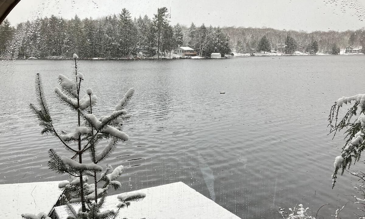 Photo of Outdoor in Bracebridge