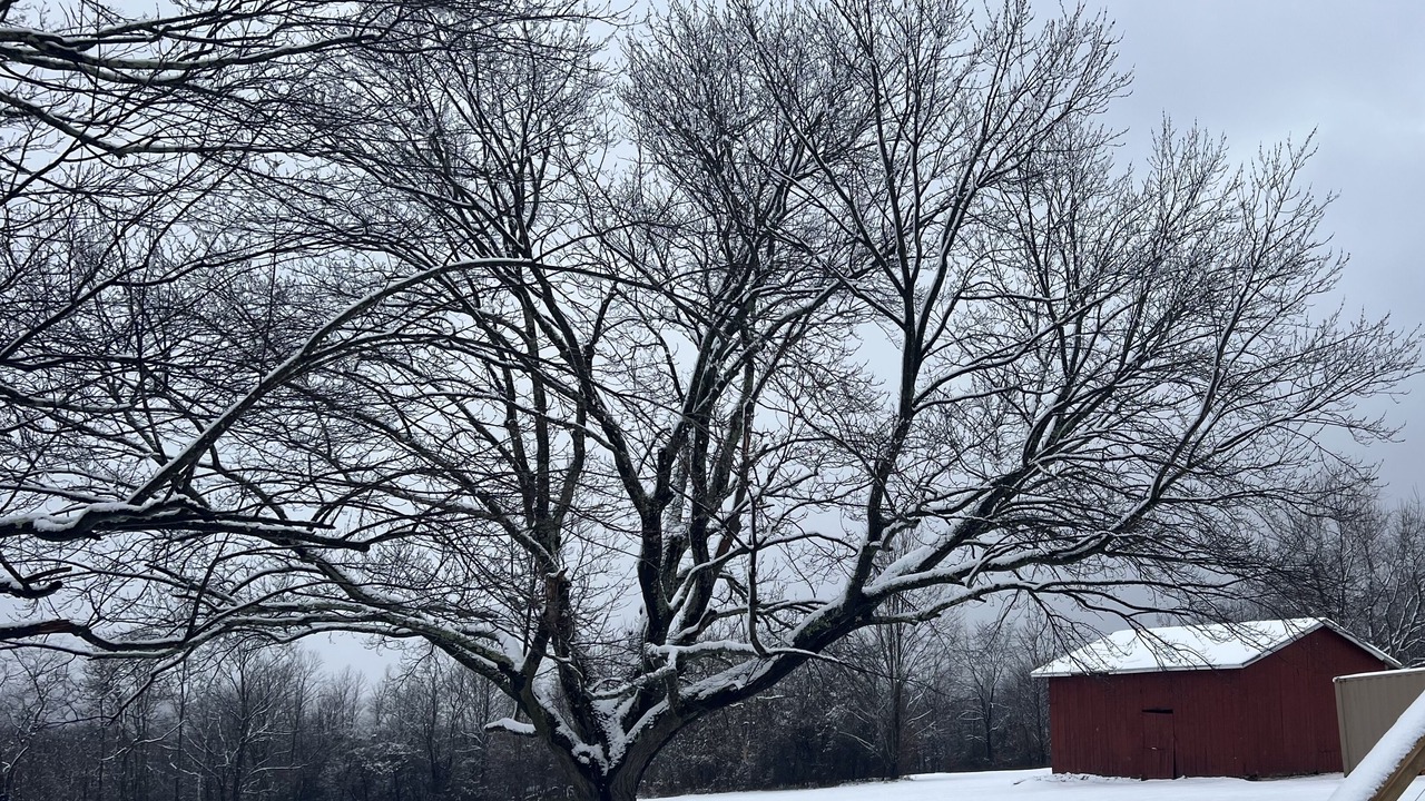 Photo of Outdoor in White
