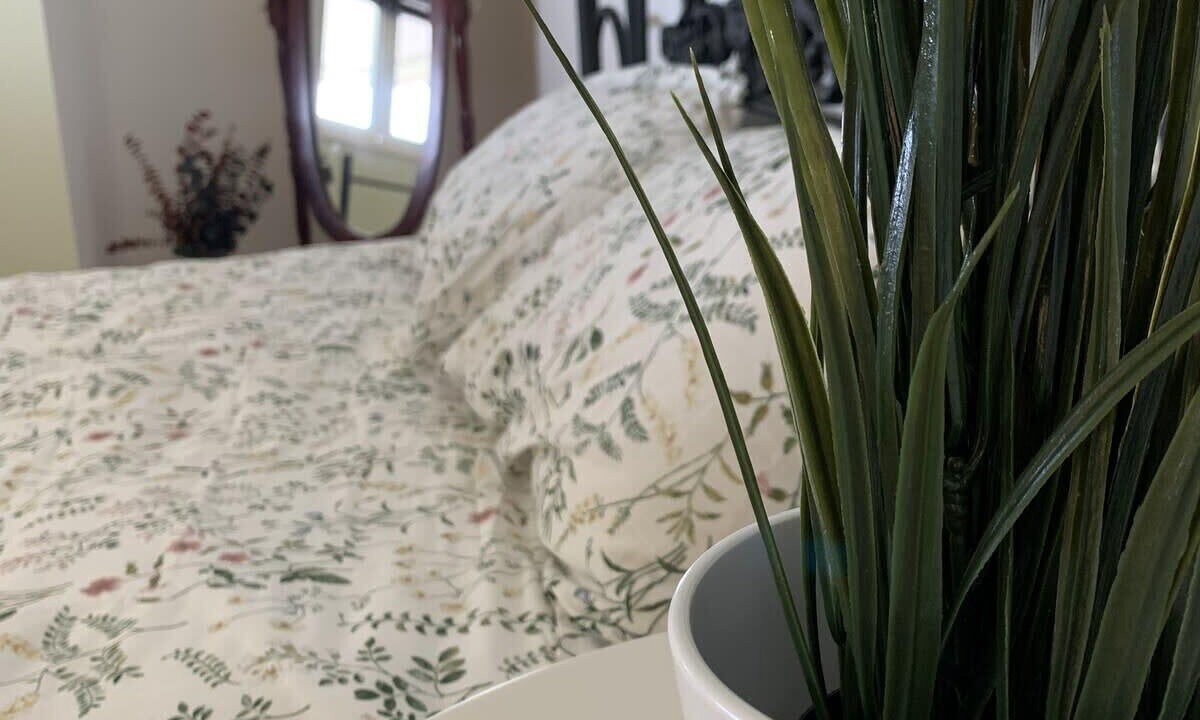 Photo of Others in Degelis