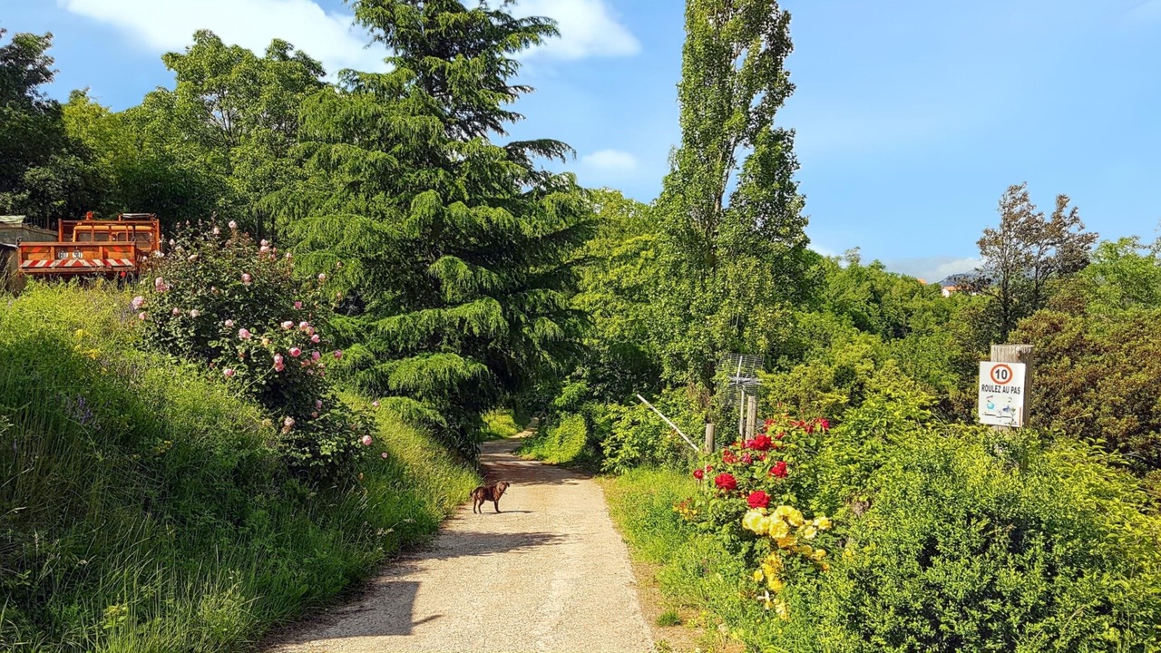 Photo of Outdoor in Escaro