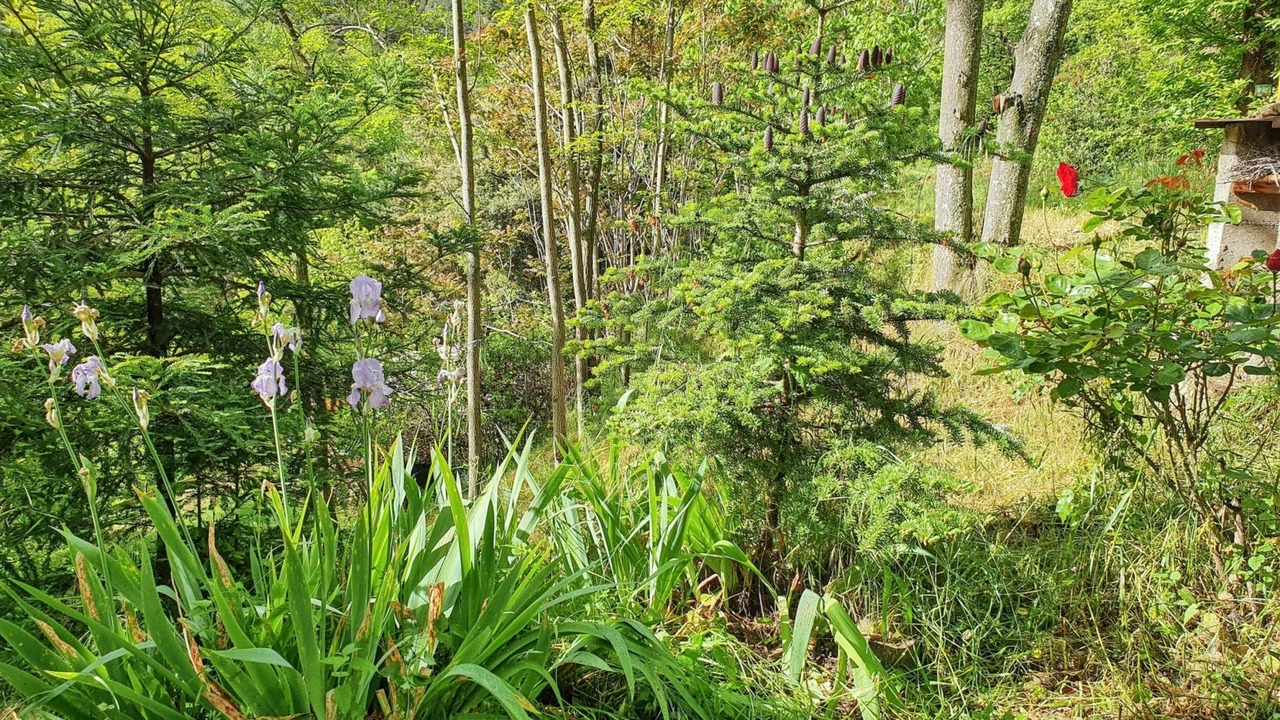 Photo of Outdoor in Escaro