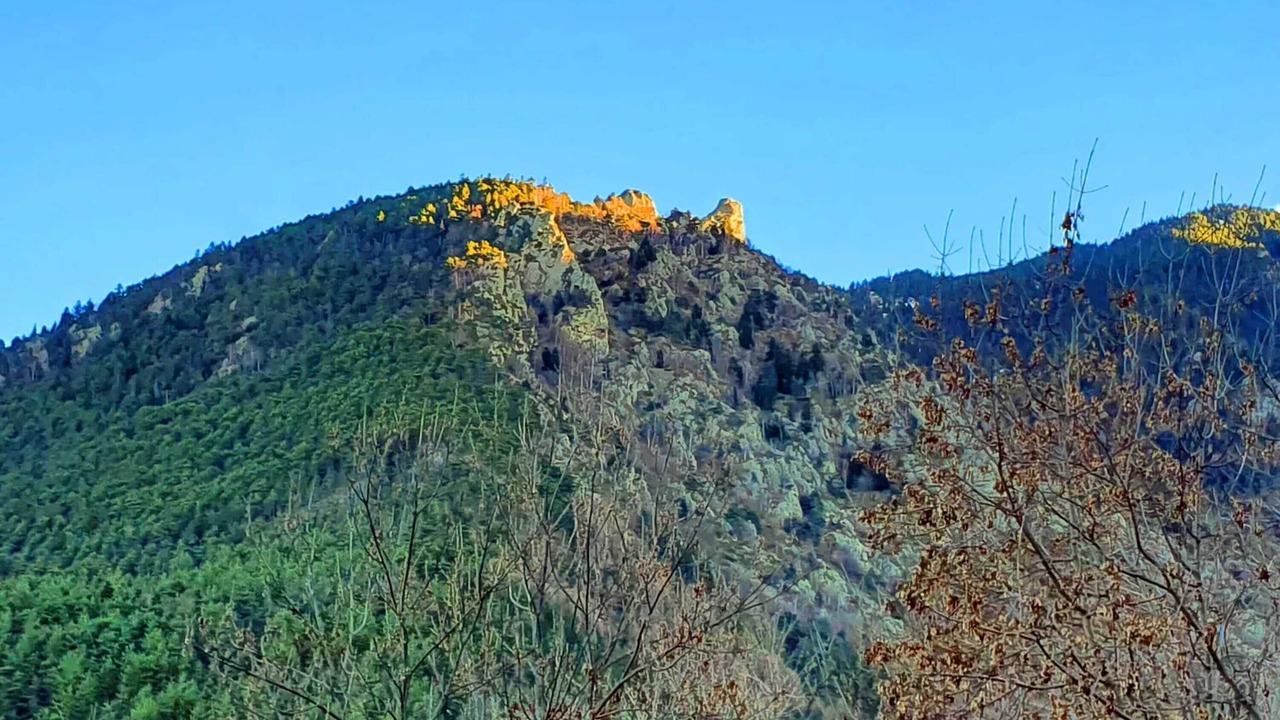 Photo of Others in Escaro