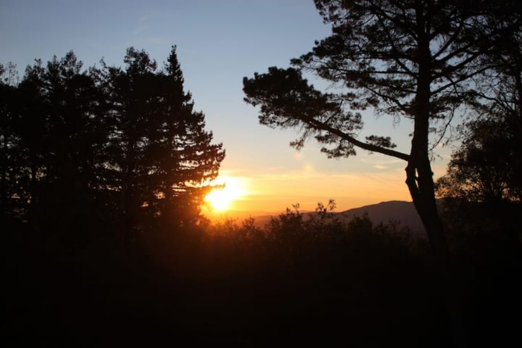 Photo of Others in Silicon Valley