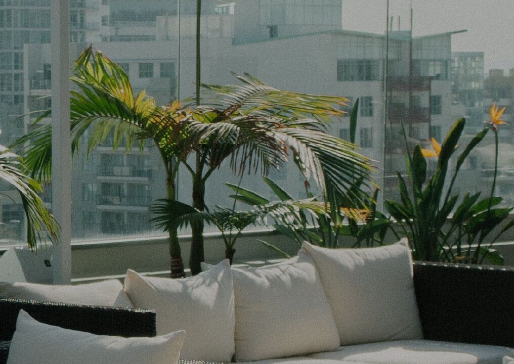 Photo of Outdoor in West Woodland