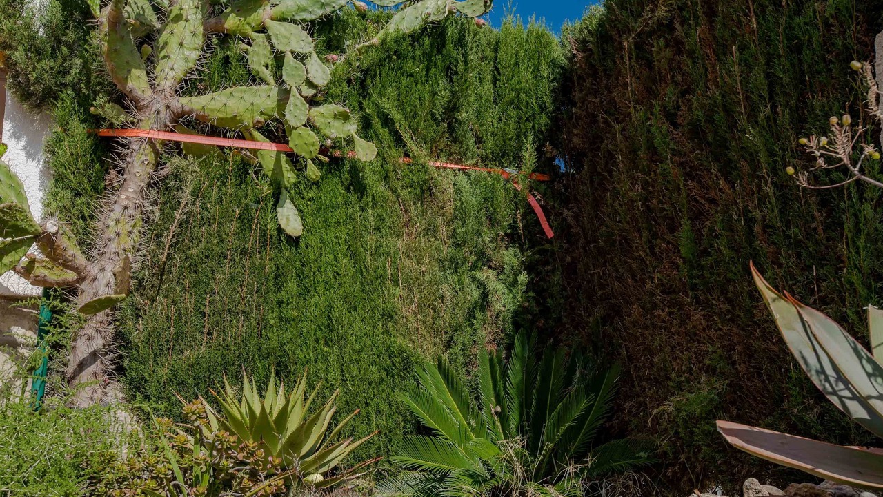 Photo of Outdoor in El Casalot