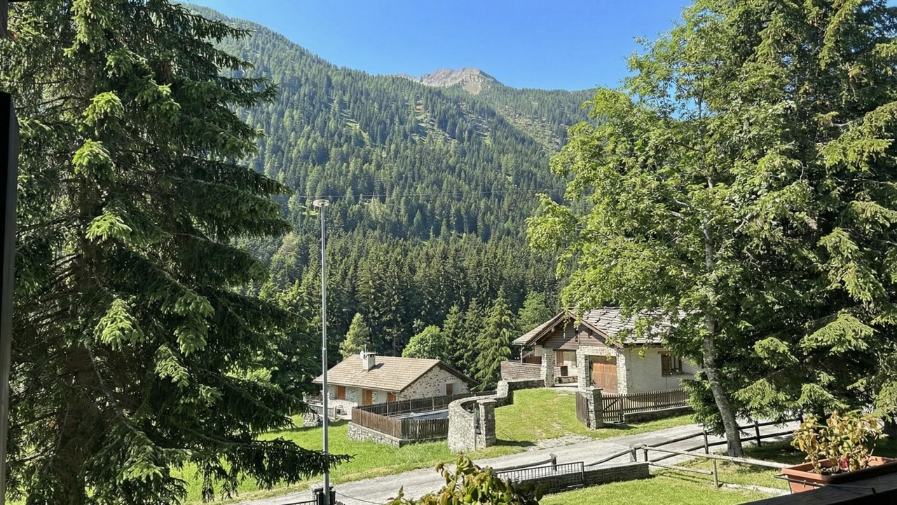 Photo of Others in Mesocco