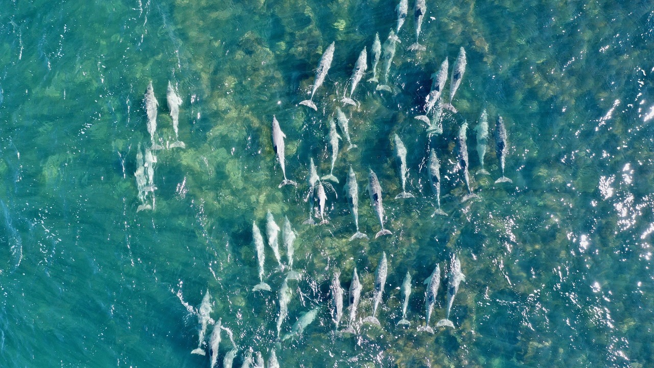 Photo of Outdoor in Para Wurlie