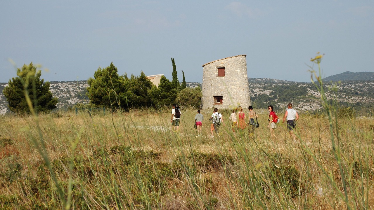 Photo of Outdoor in Roquefort-des-Corbieres
