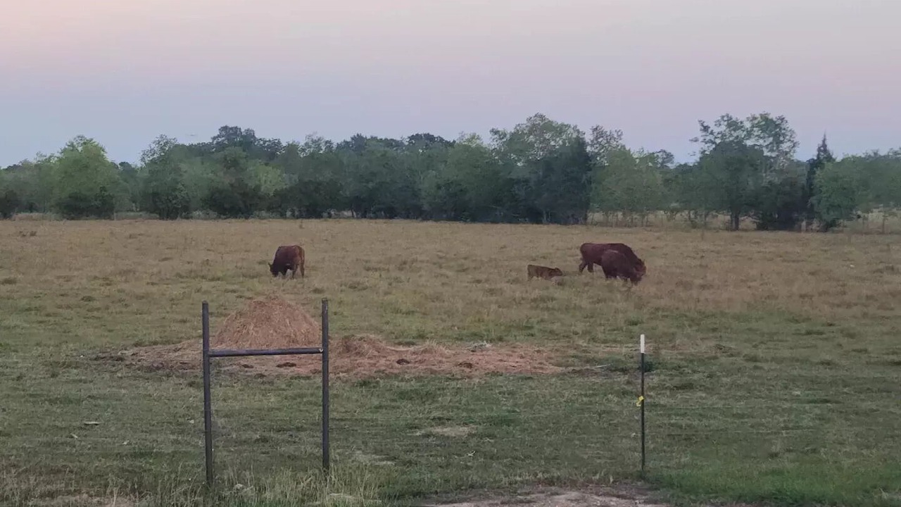 Photo of Outdoor in Bell City