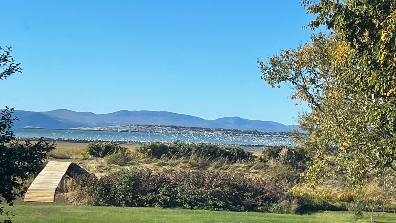 Photo of Others in Saint-Andre