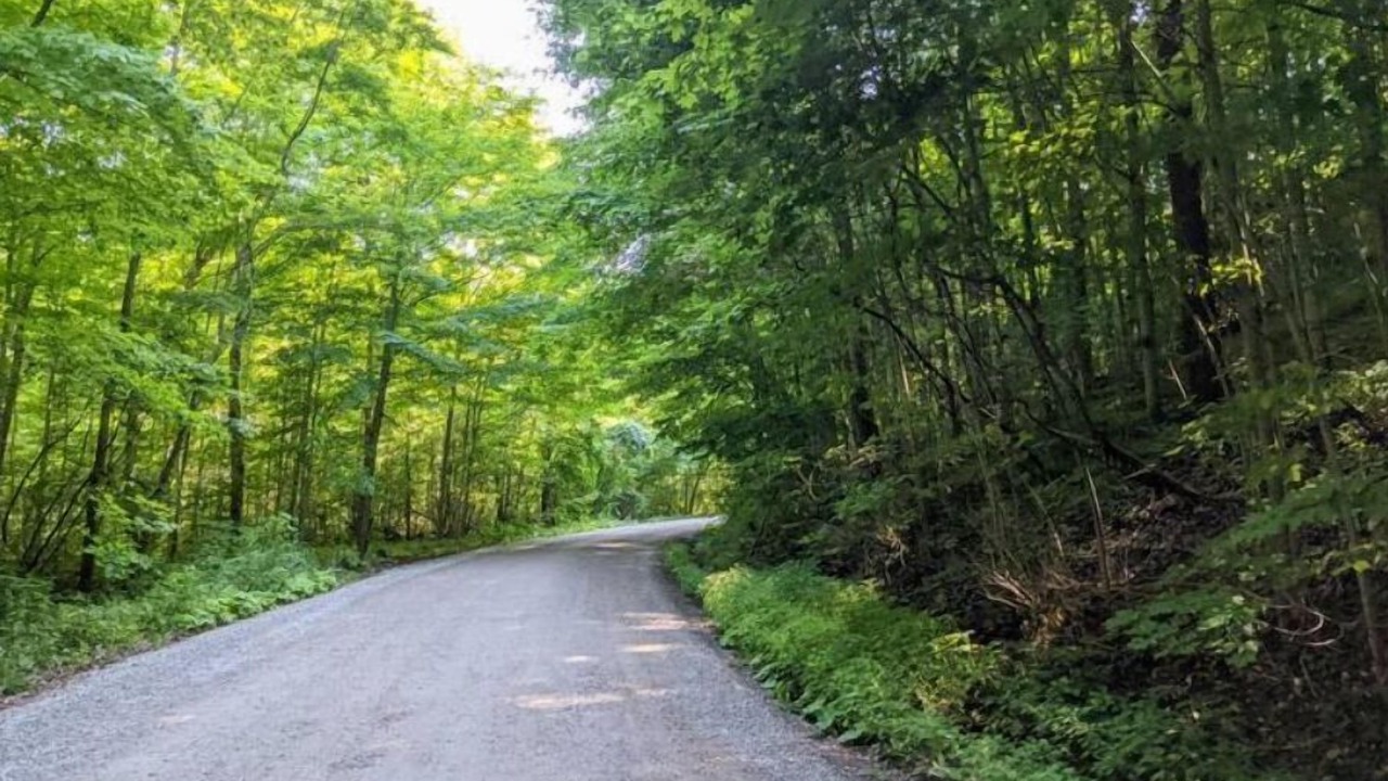 Photo of Outdoor in Plympton-Wyoming