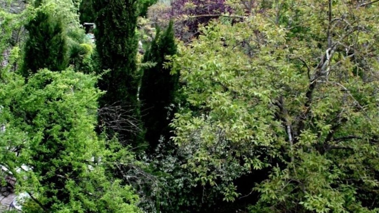 Photo of Others in Ferrieres-les-Verreries
