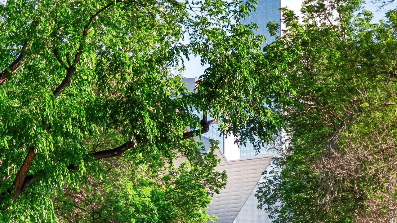 Photo of Outdoor in Golden Triangle
