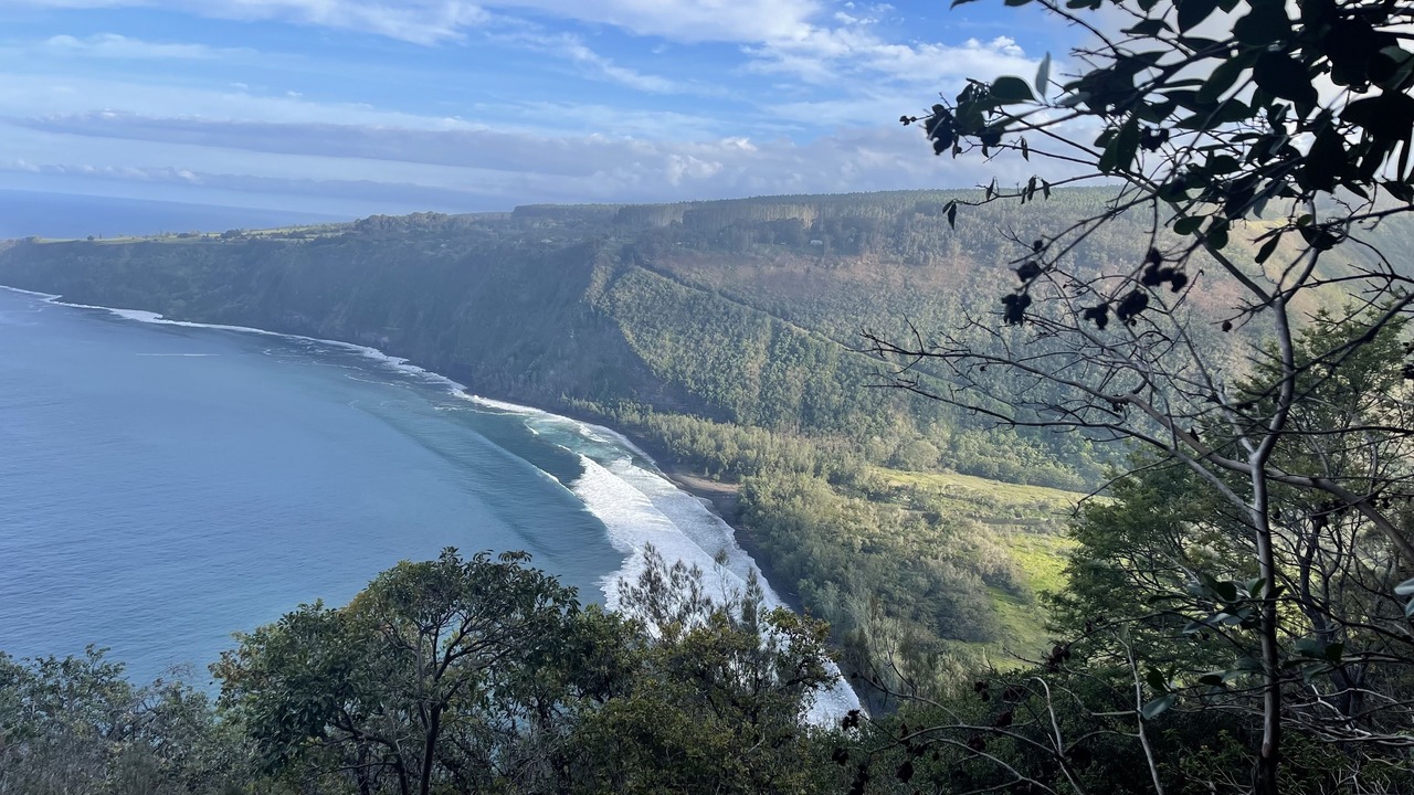 Photo of Others in Fern Acres