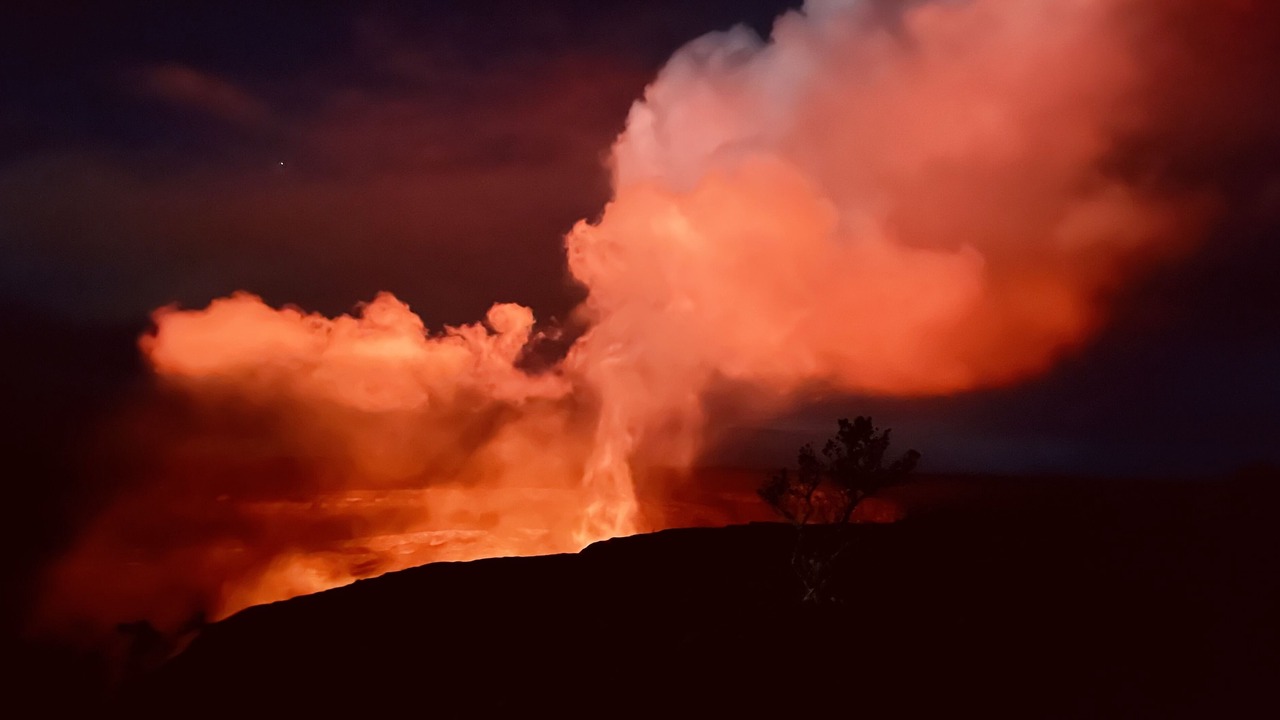 Photo of Others in Fern Acres