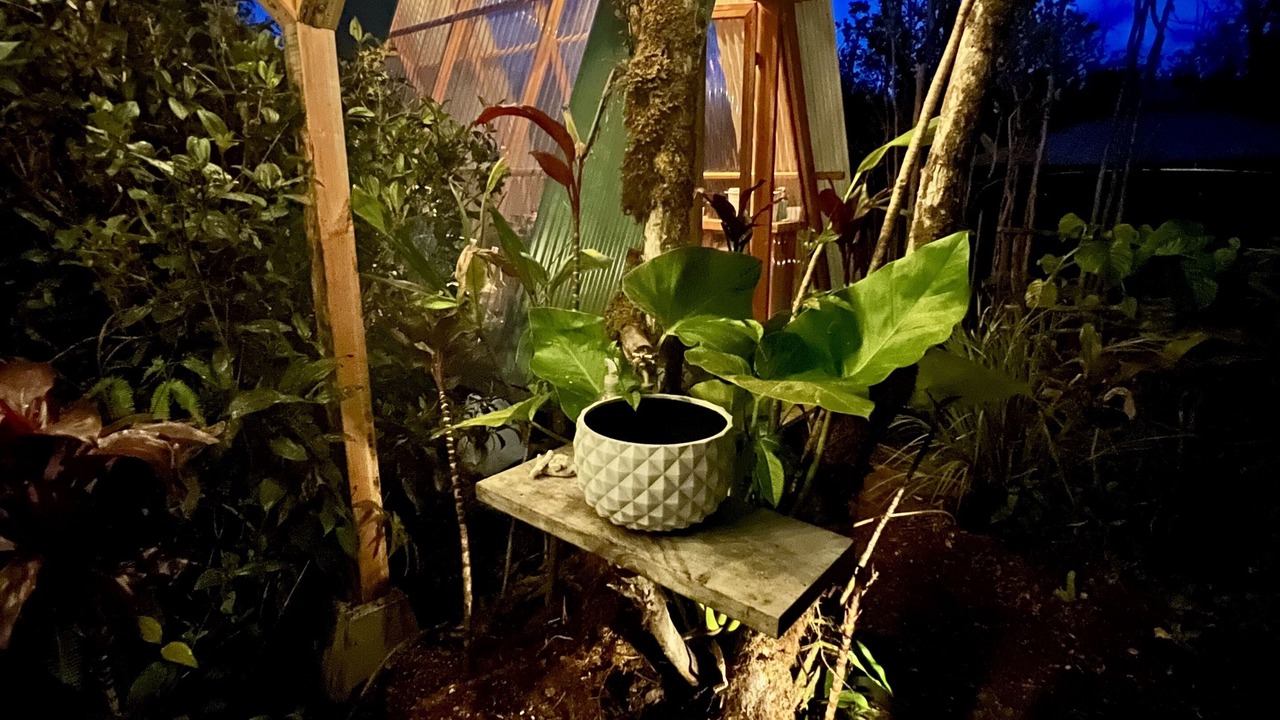 Photo of Outdoor in Fern Acres