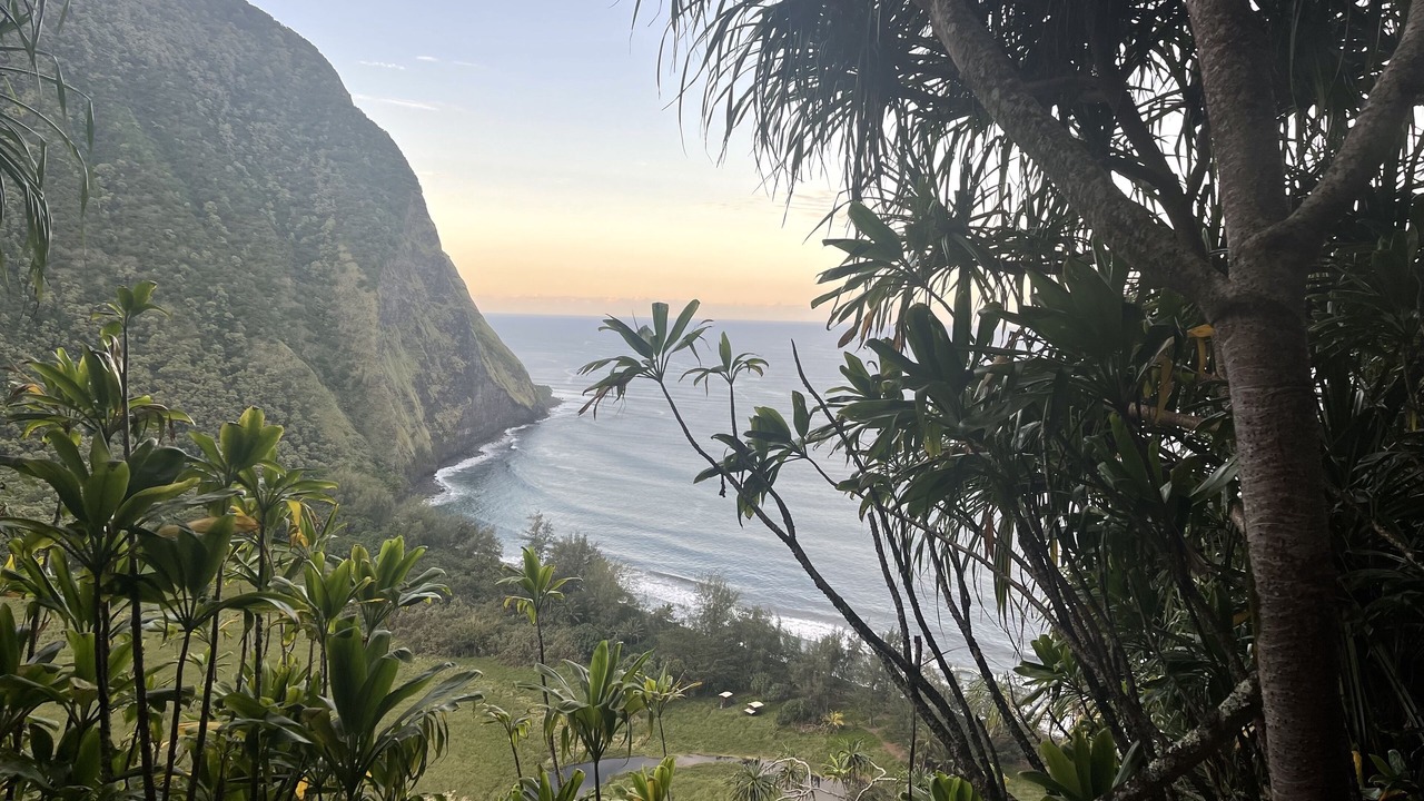 Photo of Others in Fern Acres