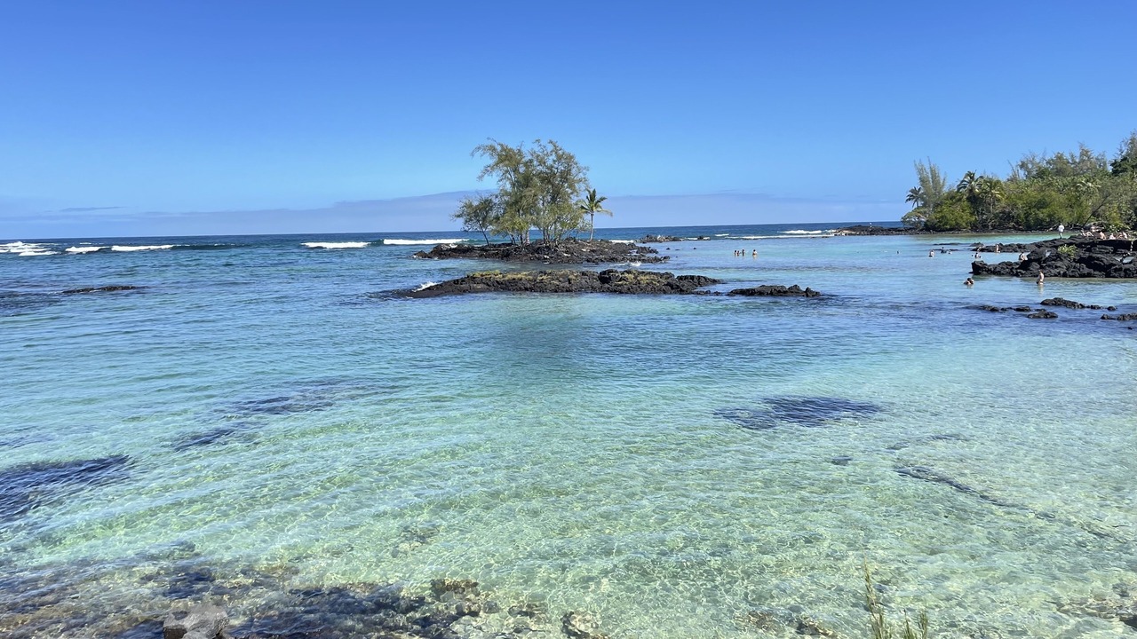 Photo of Others in Fern Acres