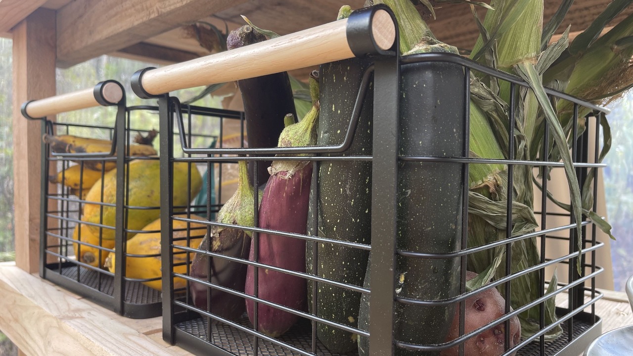 Photo of Others in Fern Acres