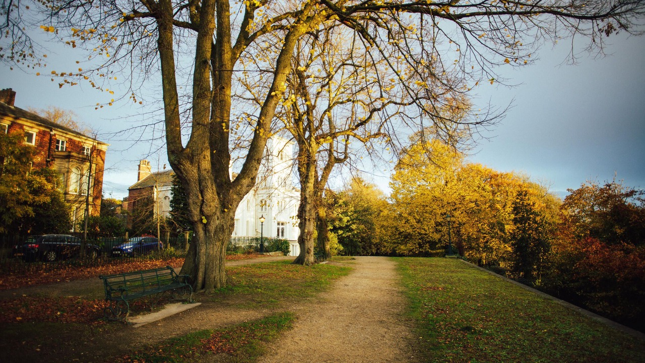 Photo of Others in Preston