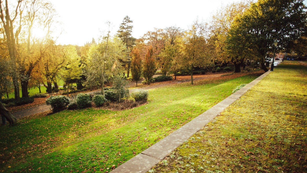 Photo of Others in Preston