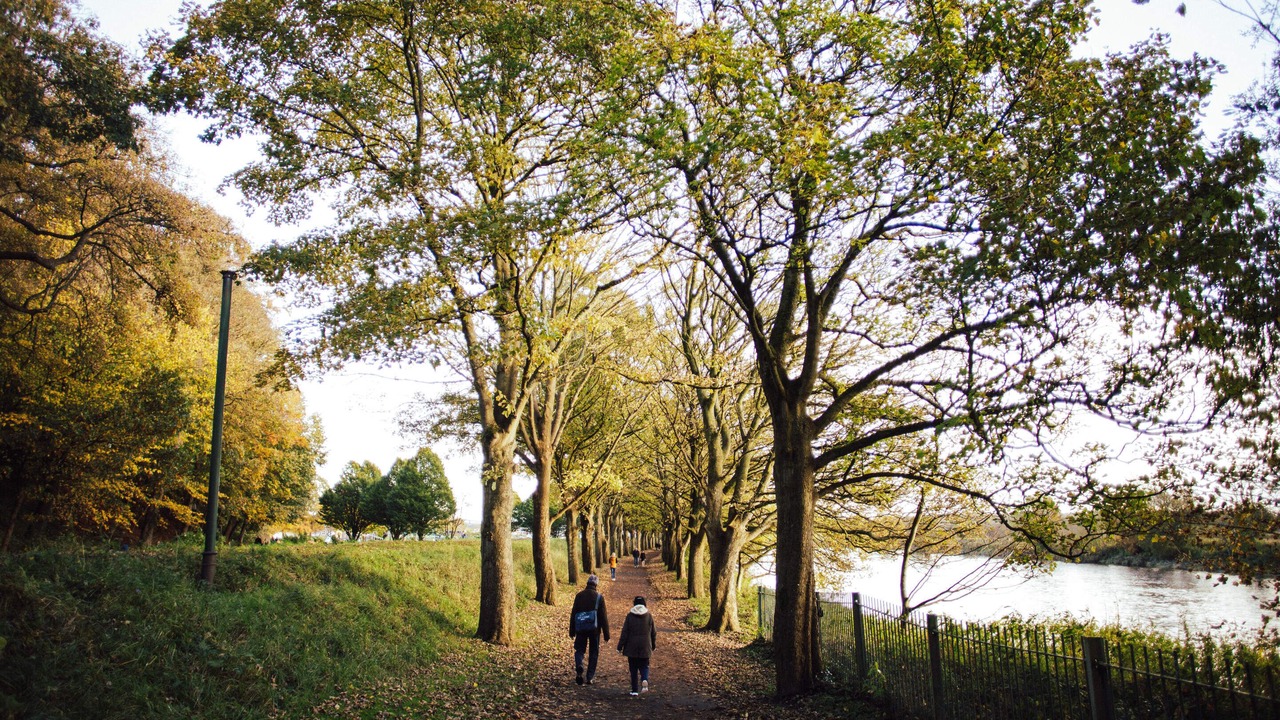 Photo of Others in Preston