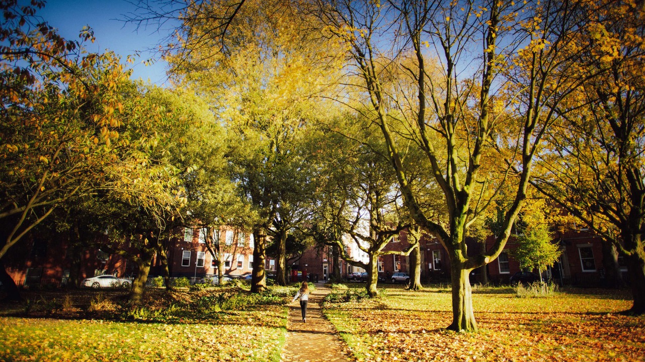 Photo of Others in Preston