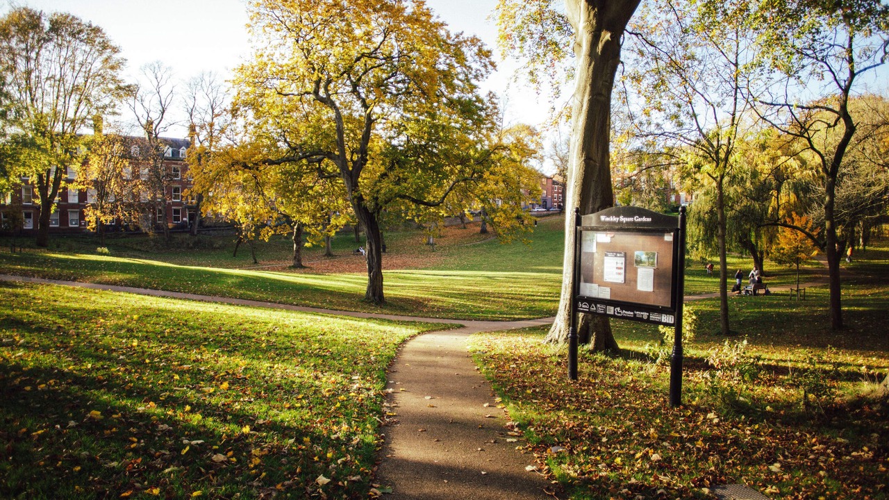 Photo of Others in Preston