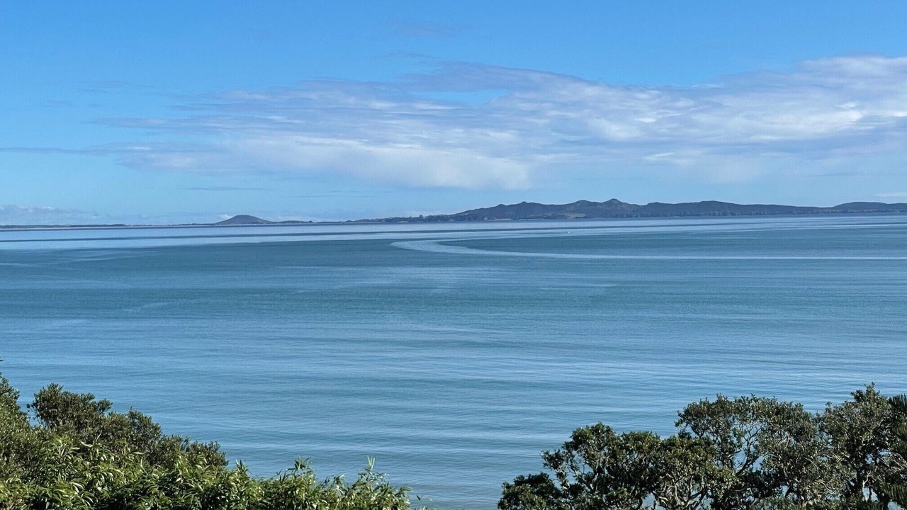 Photo of Others in Coopers Beach