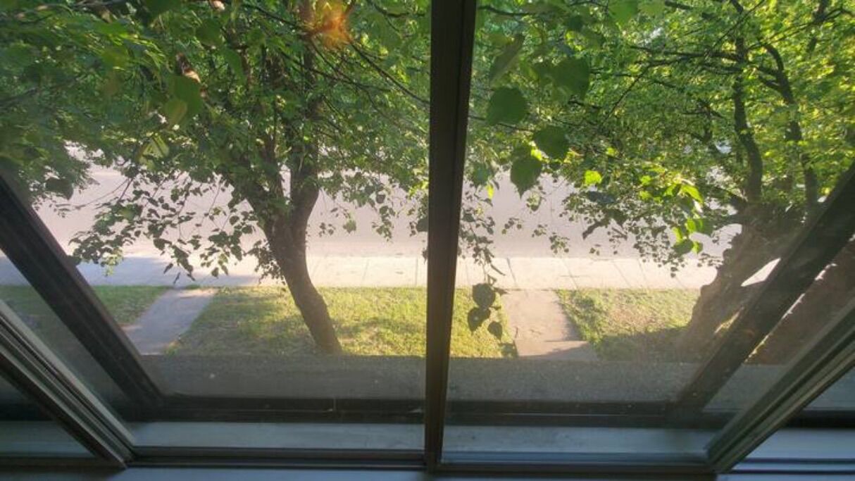 Photo of Others in LaSalle