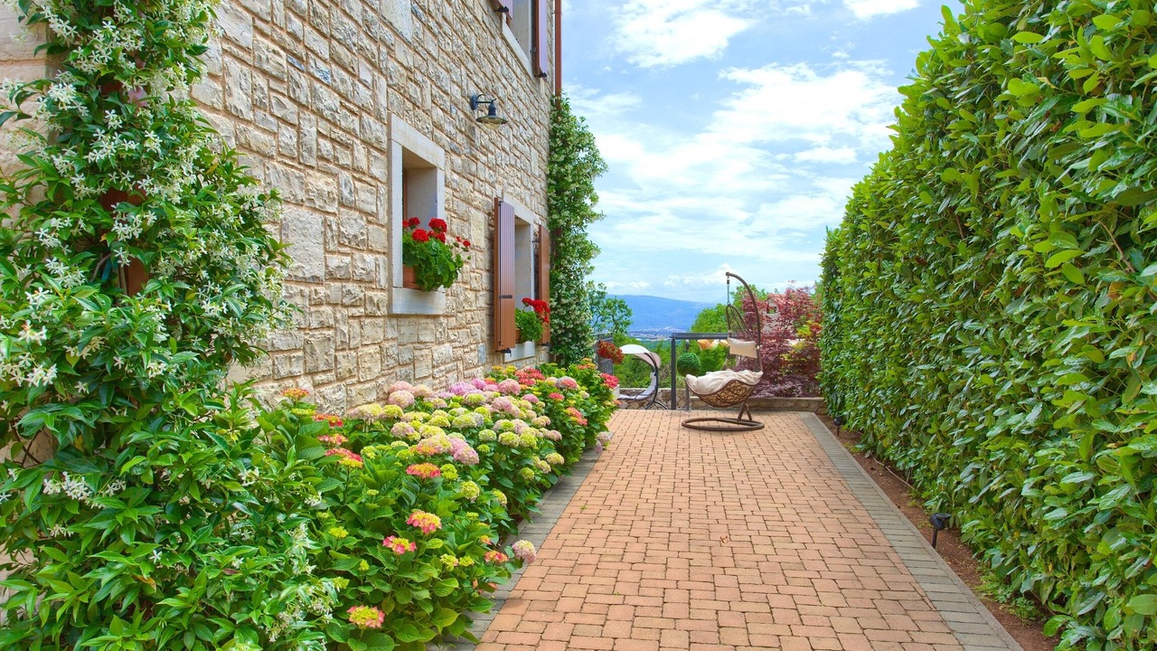 Photo of Outdoor in Salatic