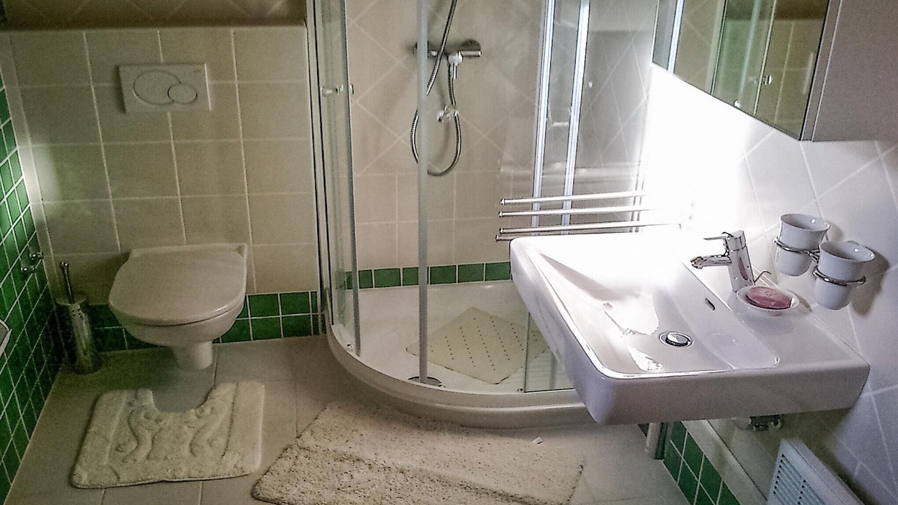 Photo of Bathroom in Buici