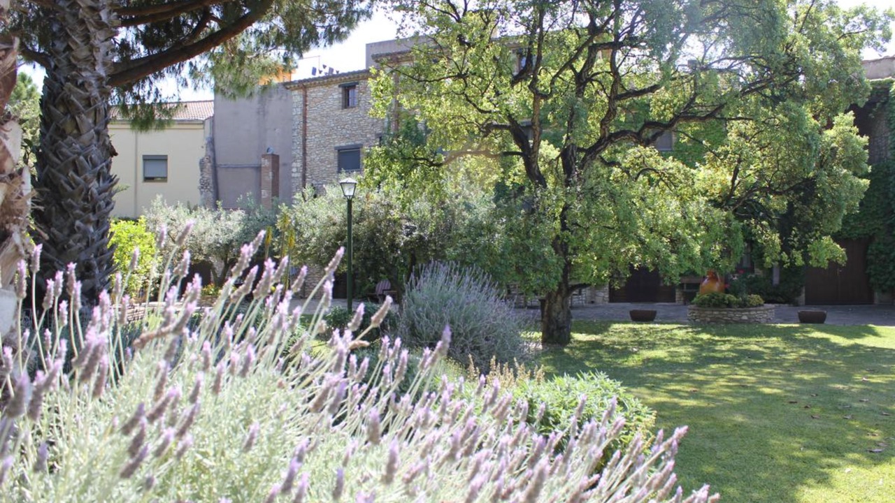 Photo of Outdoor in Santa Oliva