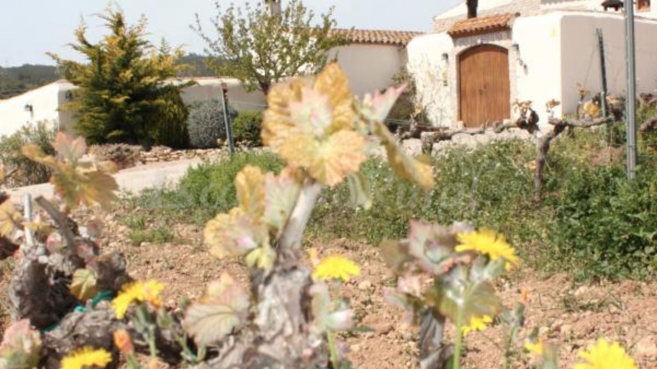 Photo of Outdoor in La Bisbal del Penedes