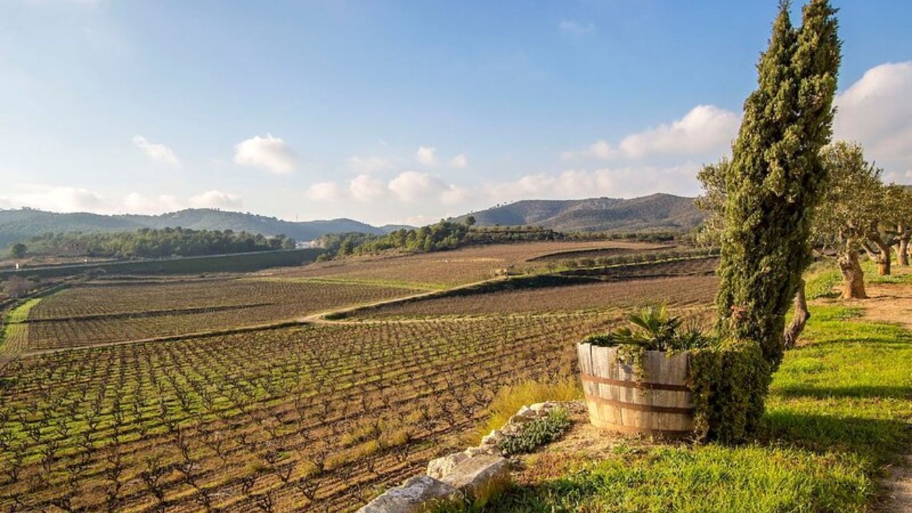 Photo of Outdoor in La Bisbal del Penedes