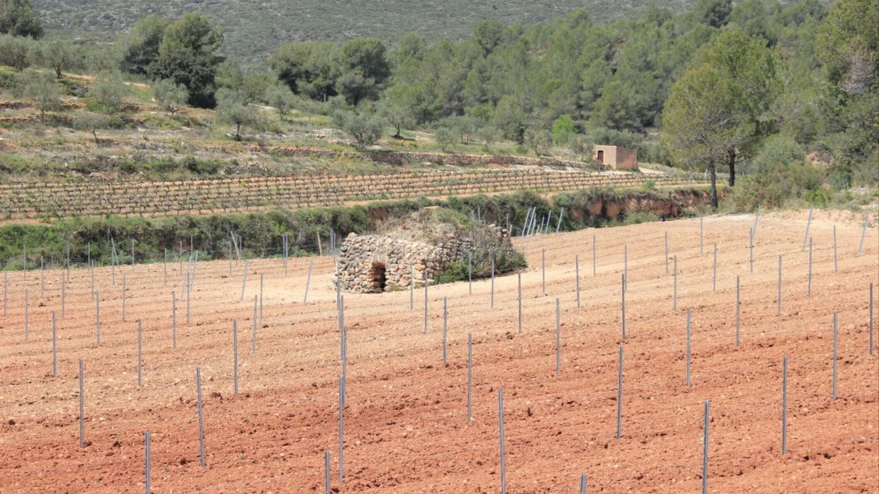 Photo of Others in La Bisbal del Penedes