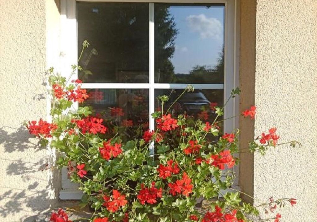 Photo of Outdoor in Saint-Michel-de-Montjoie
