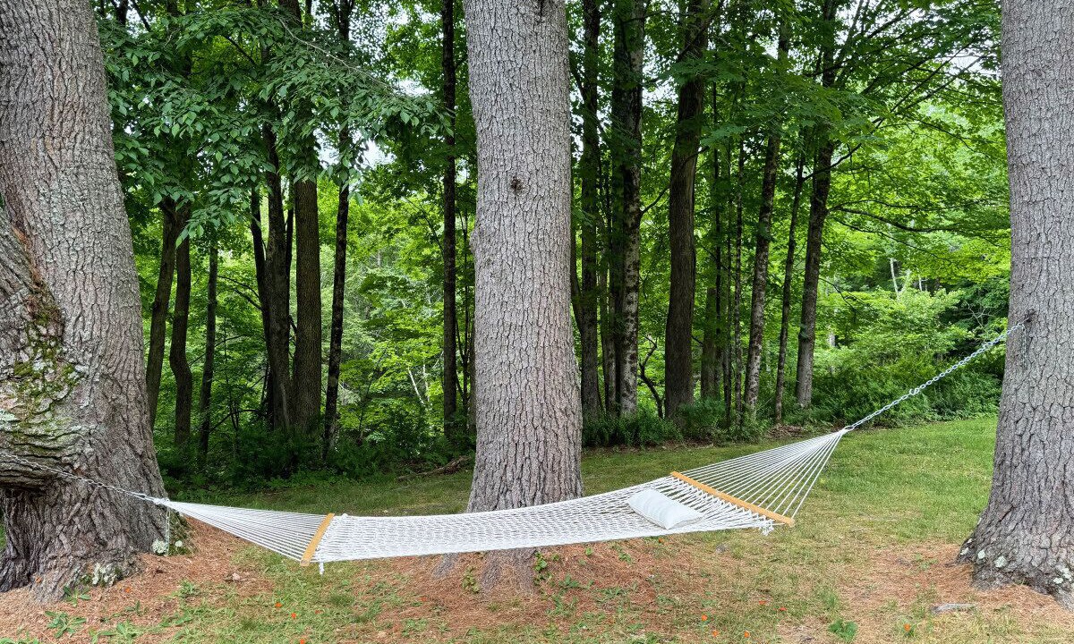 Photo of Others in Mount Washington