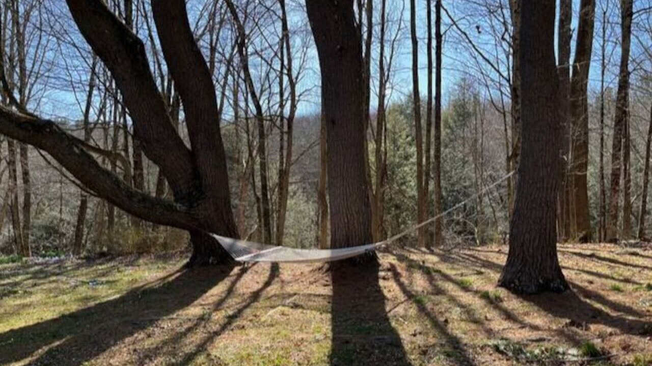 Photo of Others in Mount Washington